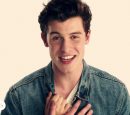 Fã se recusa a tirar selfie com Shawn Mendes